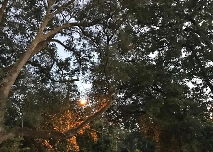 Сasa de vacaciones Quiet-clean-cottage-dogs Kitchen Tallahassee